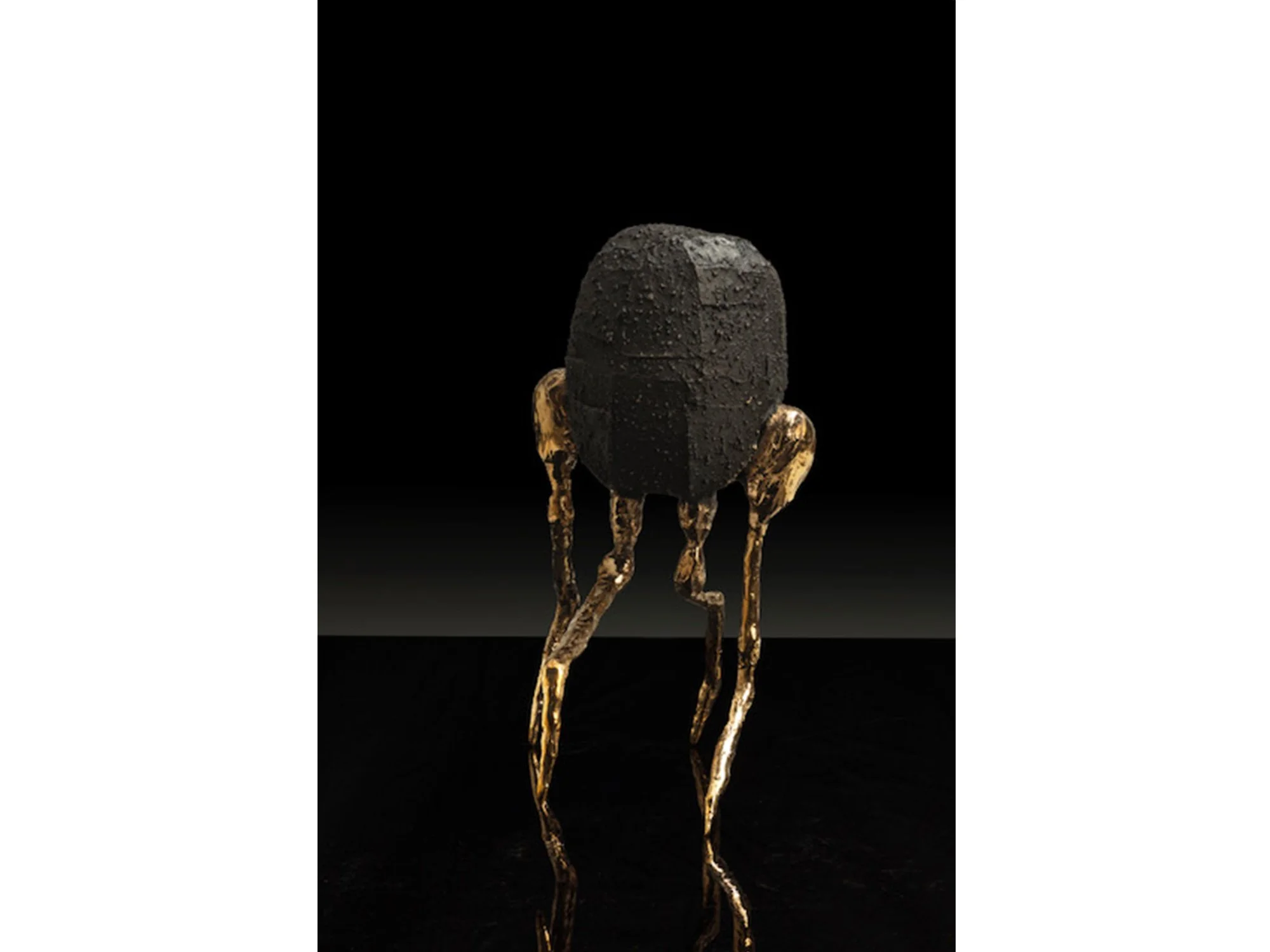 “Caught By Time” bronze sculpture from Jeske Haak’s Faces of the Sea series, merging nature with imaginative forms.
