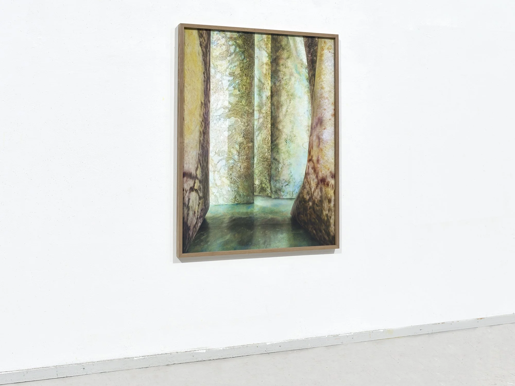 Left-side gallery view of Overgrown Path 01 by Jan Theun van Rees, showing the framed photographic work on a white wall.