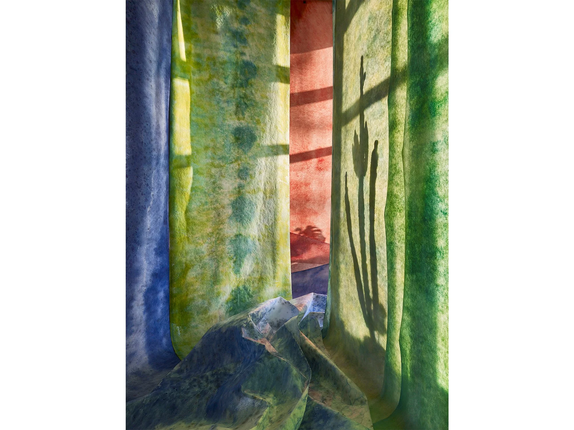 Cactus by Jan Theun van Rees