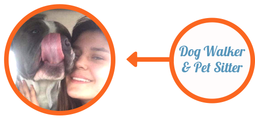 Amber3.png