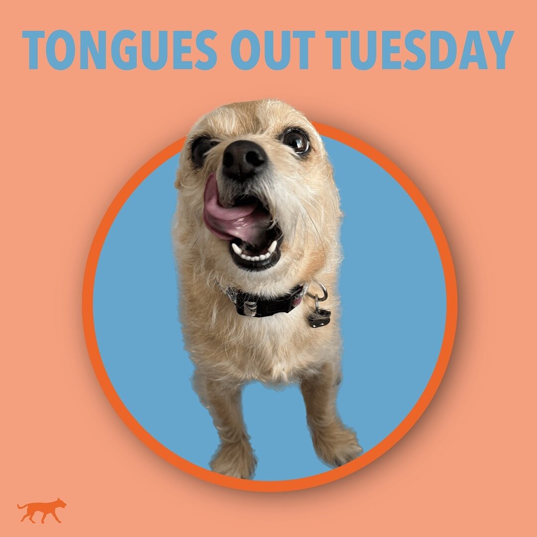 TONGUES OUT TUESDAY!