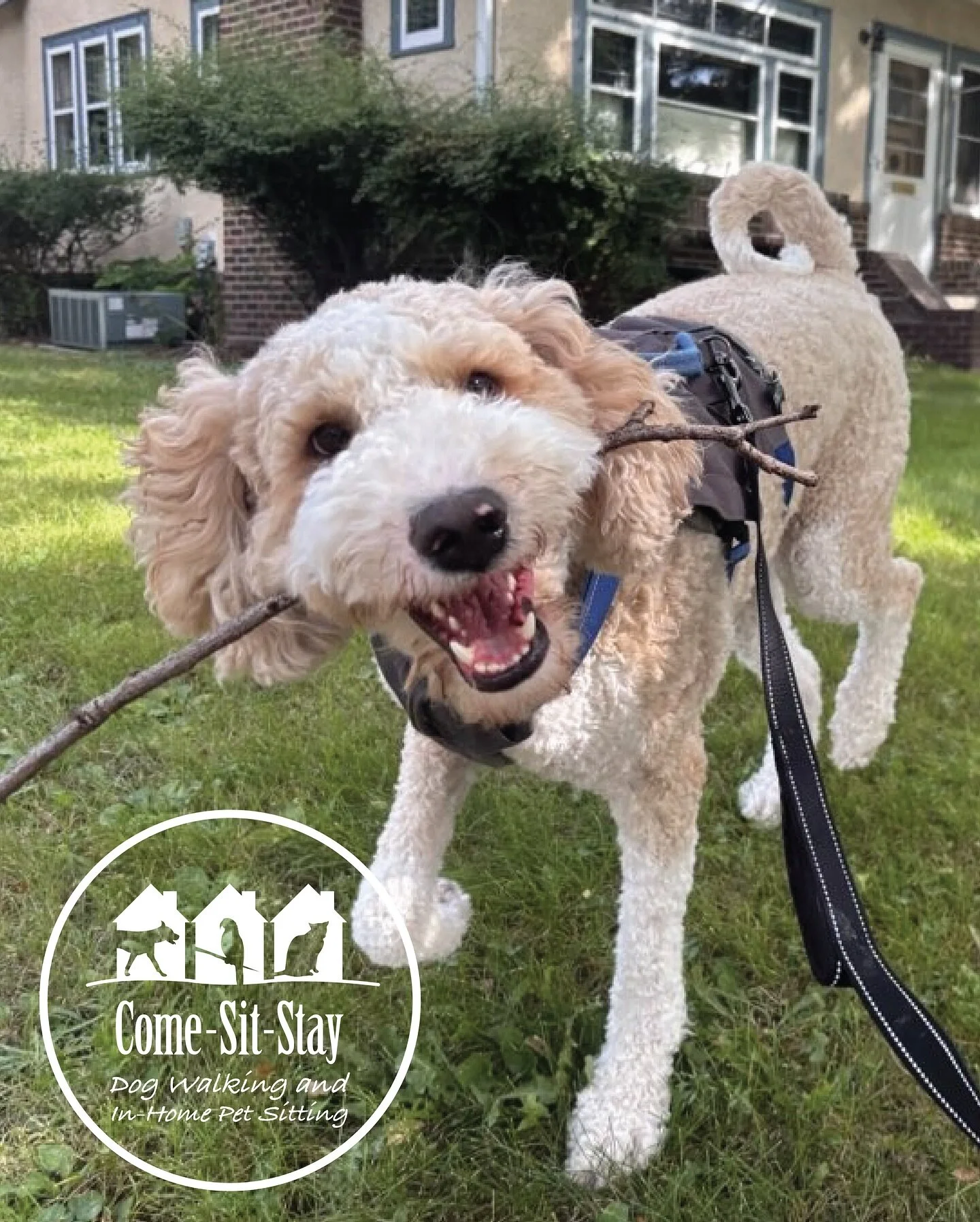 Finley and Otis are enjoying their walk-a-doodles! 🐾
📸 Photo Credit: Team Members Grace and Jim
.
.
.
.
.
.
#dogwalkingminneapolis #dogwalkersofinstagram #walkadoodle #doodledog #dogwalks #walkdogs