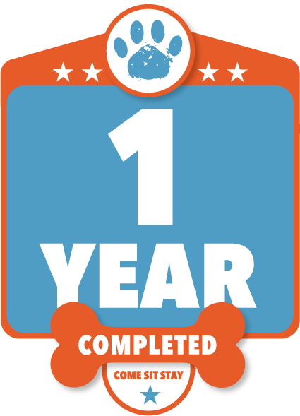cssanniversaryV111.14.24.png