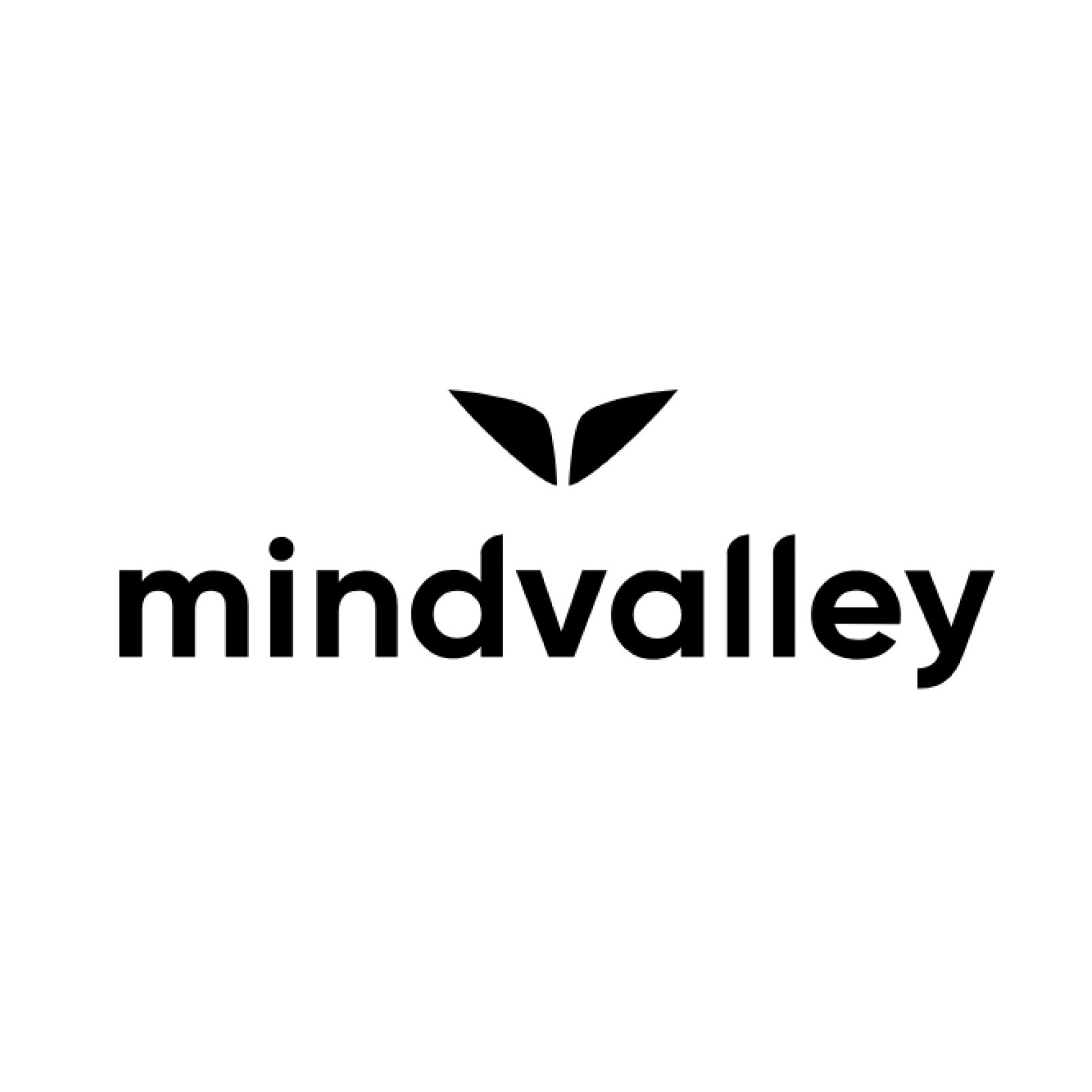 mindvalley.jpg