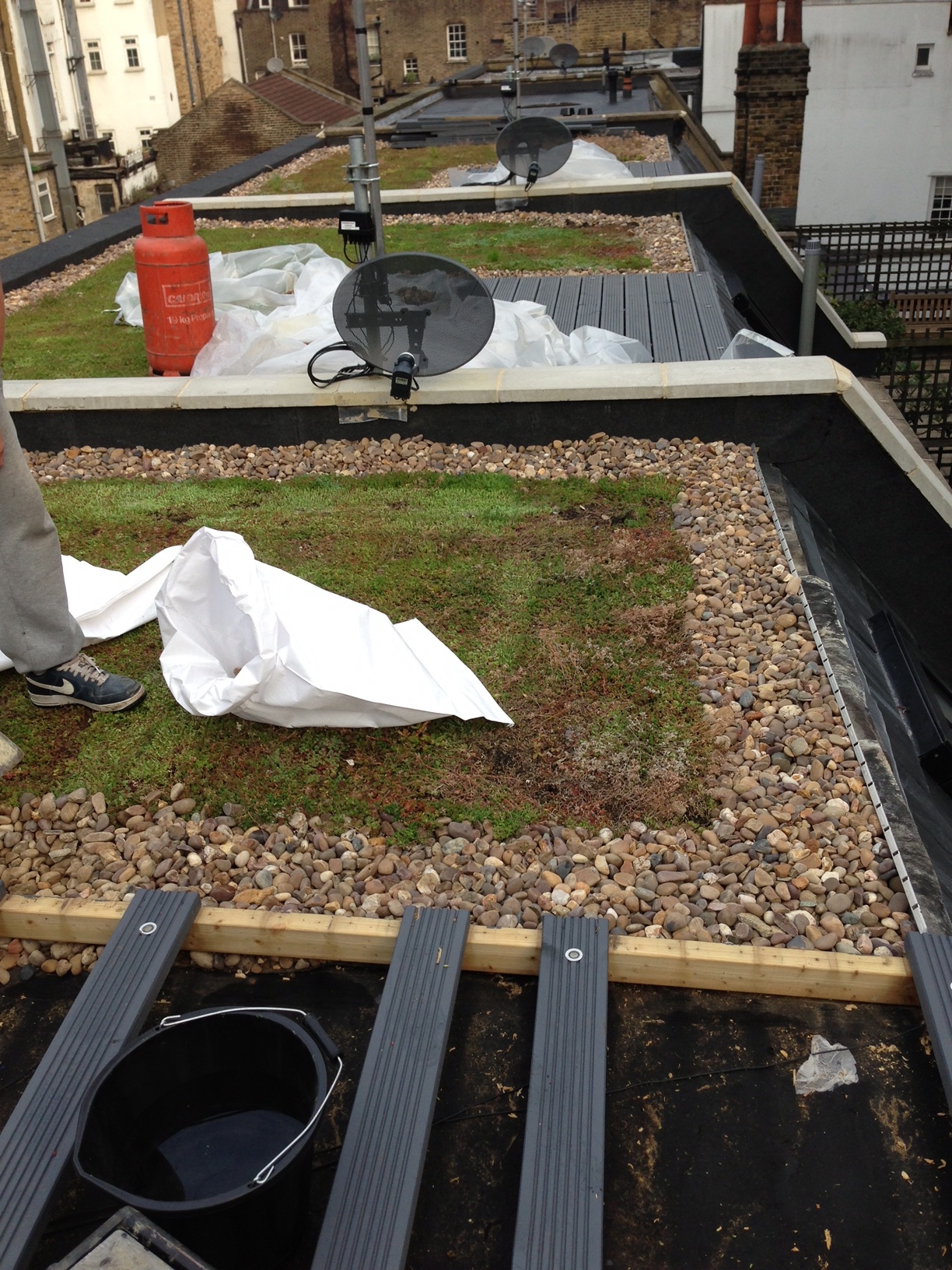 Green roofs - Central London
