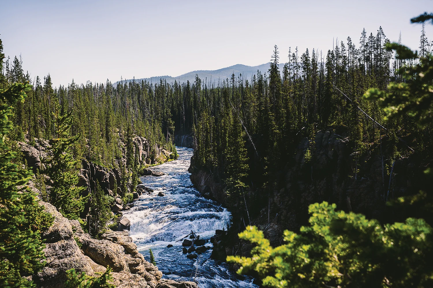META_Yellowstone (83 of 129).jpg