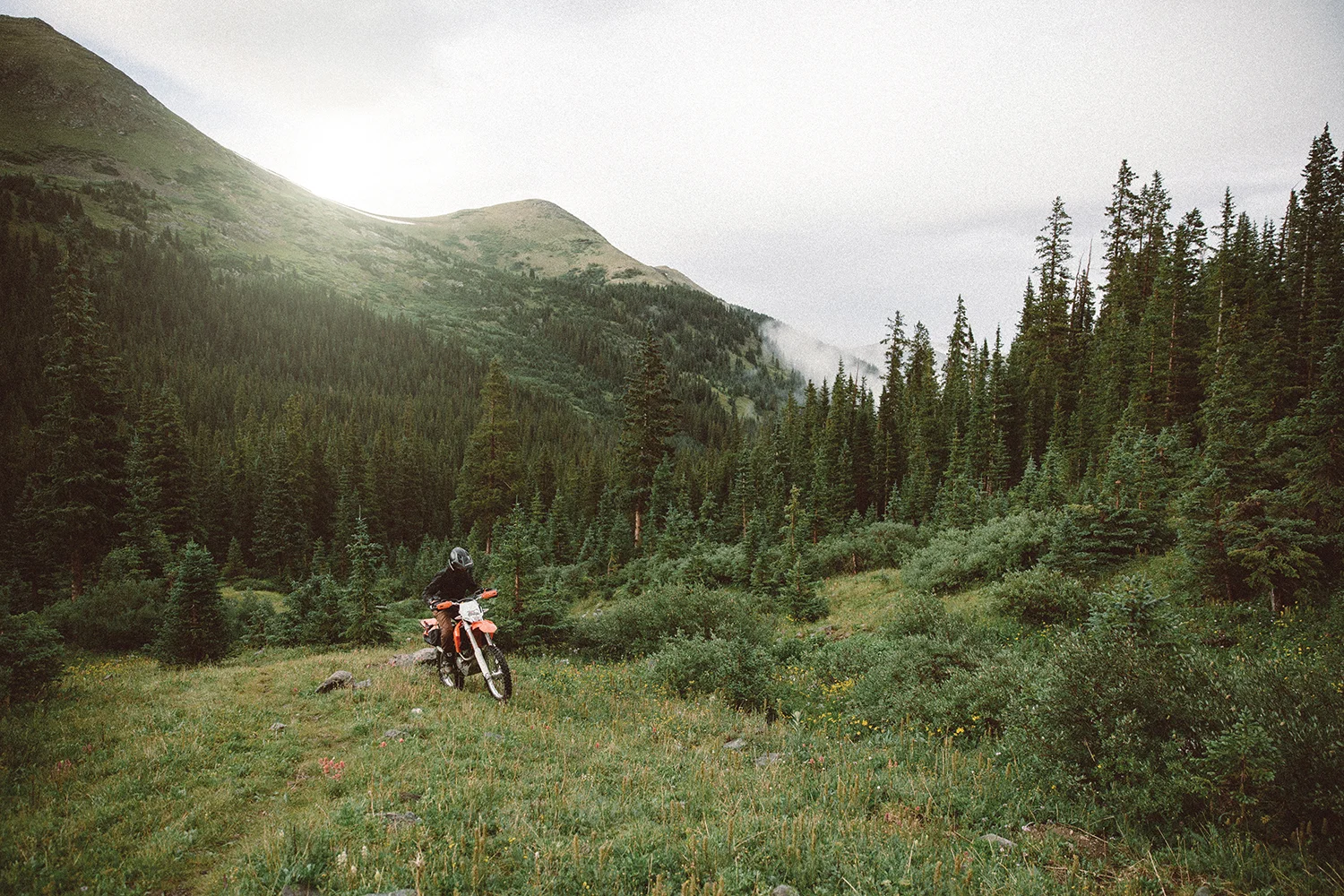 B56A5008-cmyk.jpg