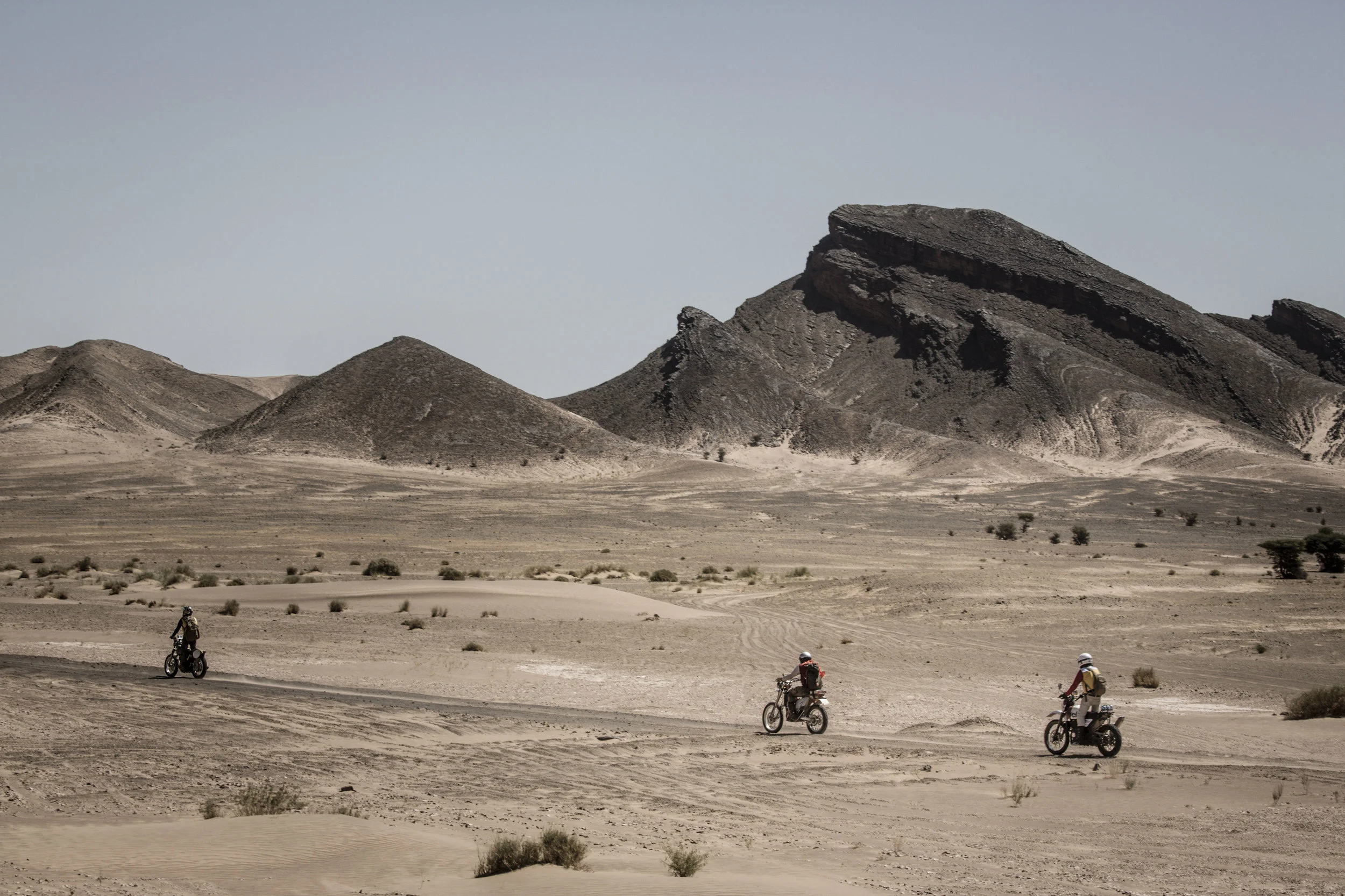Scram2019_E9A9881.jpg
