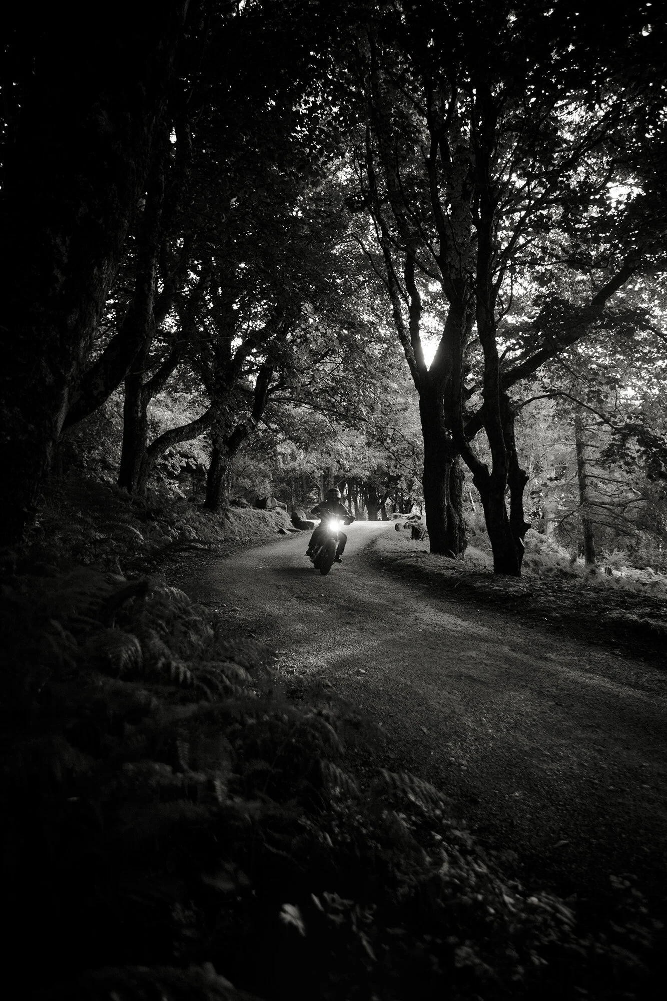 Archive 2 — VAHNA — Journal