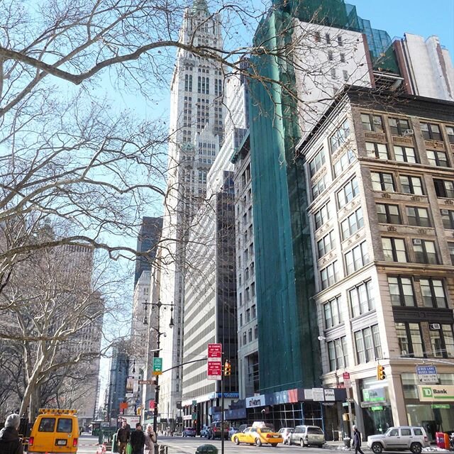 New York winter