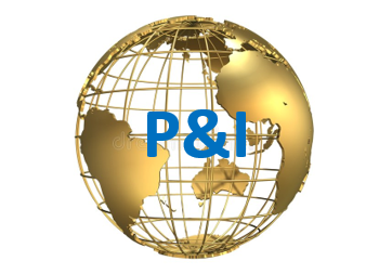 P&I Logo with Wire Globe.png