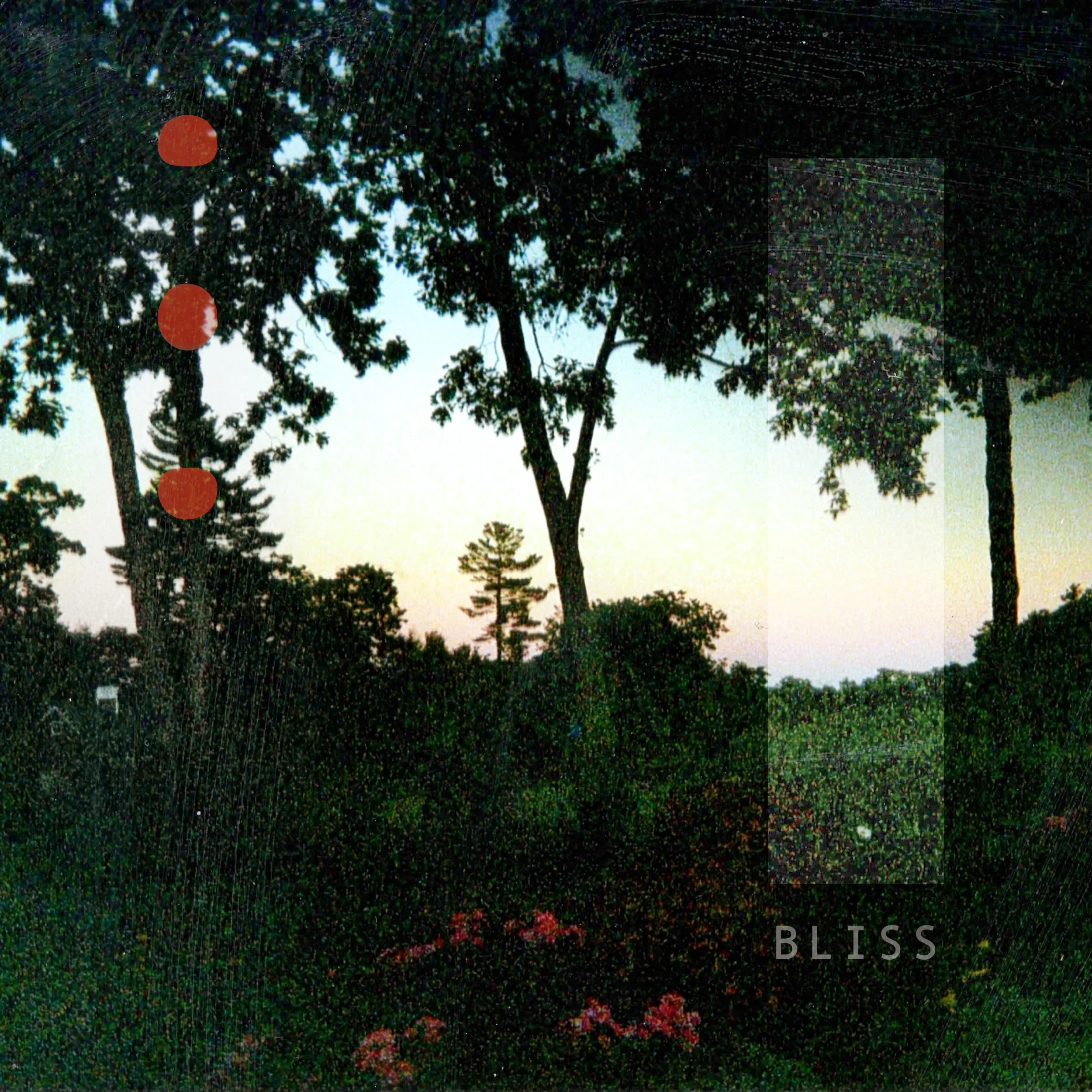 BLISS.jpg