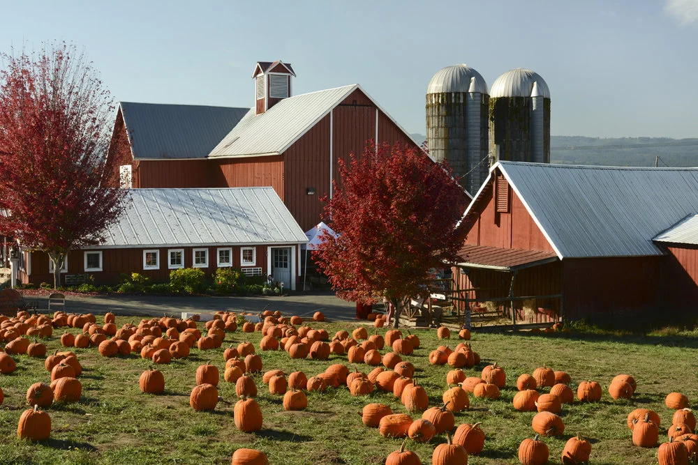 farm store ready for fall