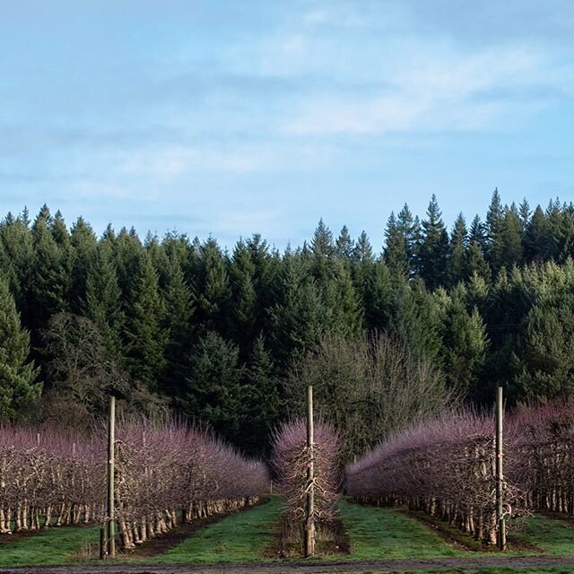 It&rsquo;s a beautiful day on the farm.