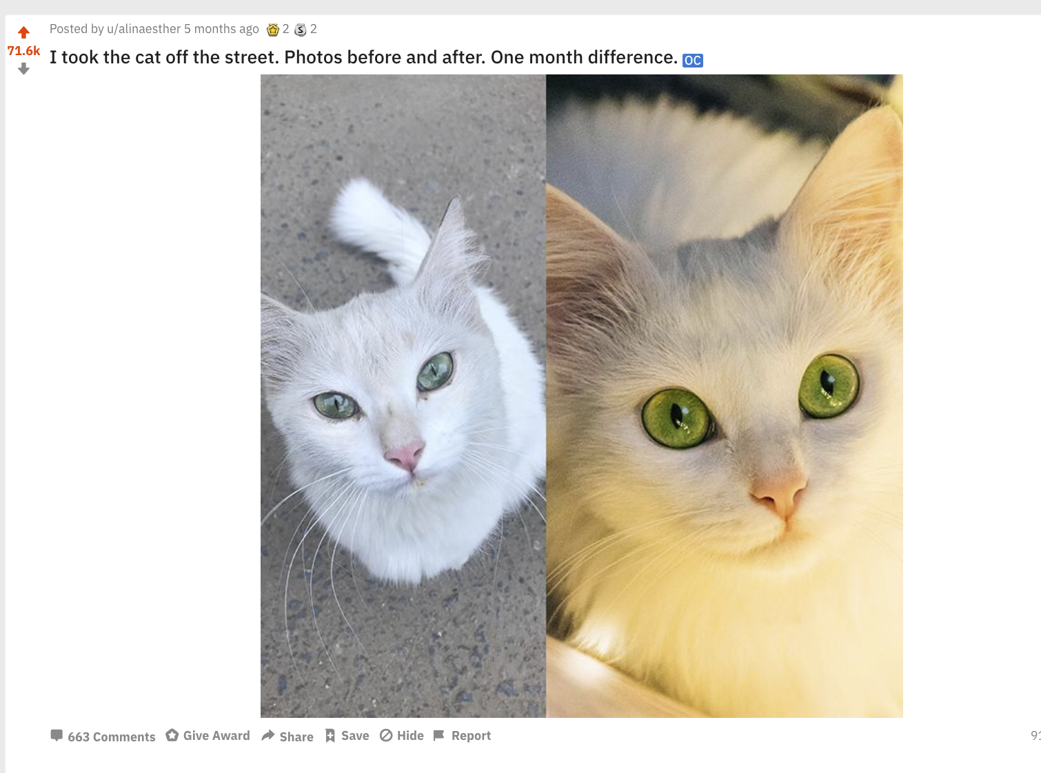 Screen Shot 2019-07-01 at 10.52.02 AM.png