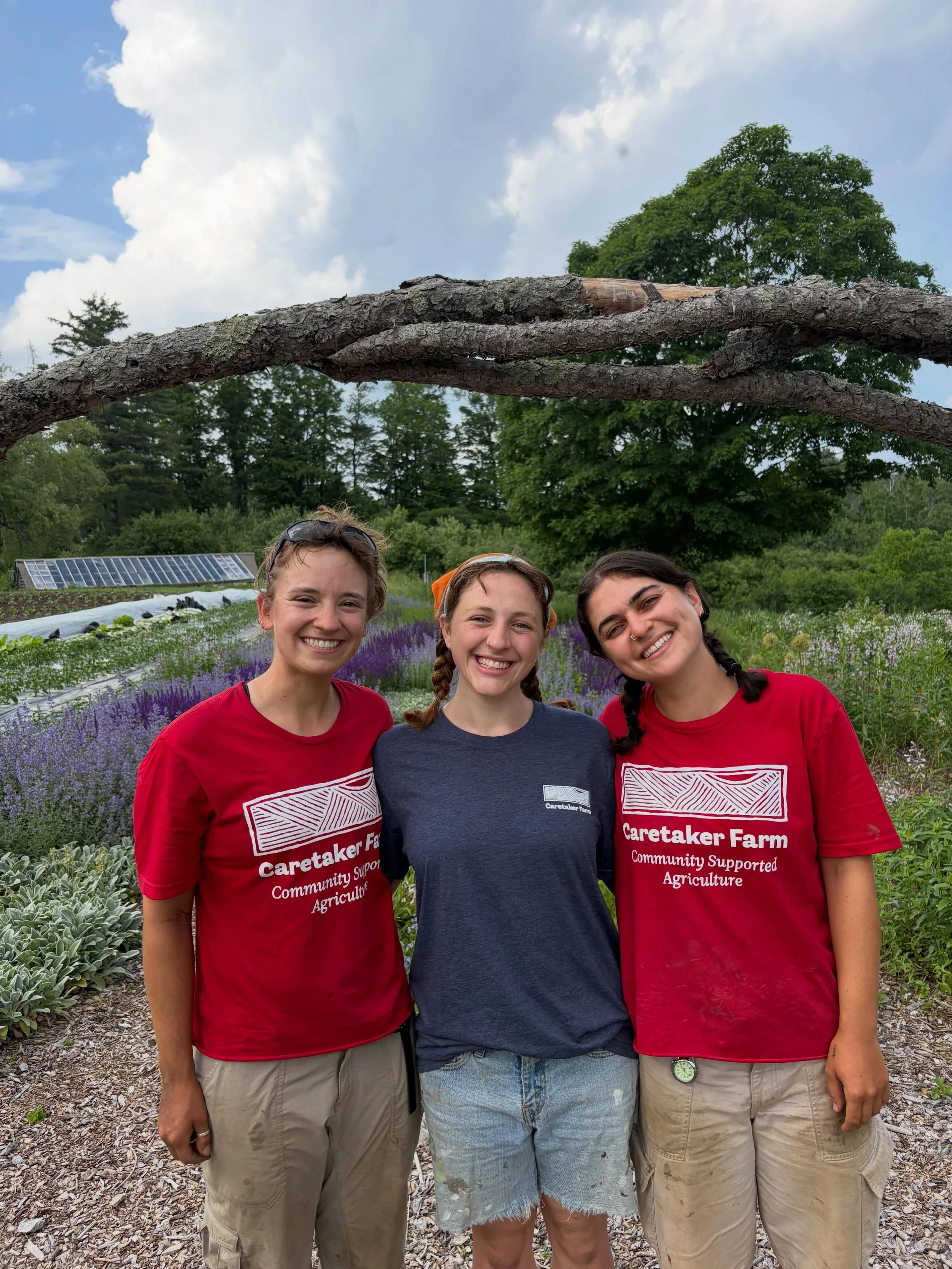 Our apprentice team is now complete with the arrival of Celia. She has quickly become an integral member of the community. Our multi talented apprentices even serenaded farm members on a gorgeous evening during our farm&rsquo;s first Pizza Night of t