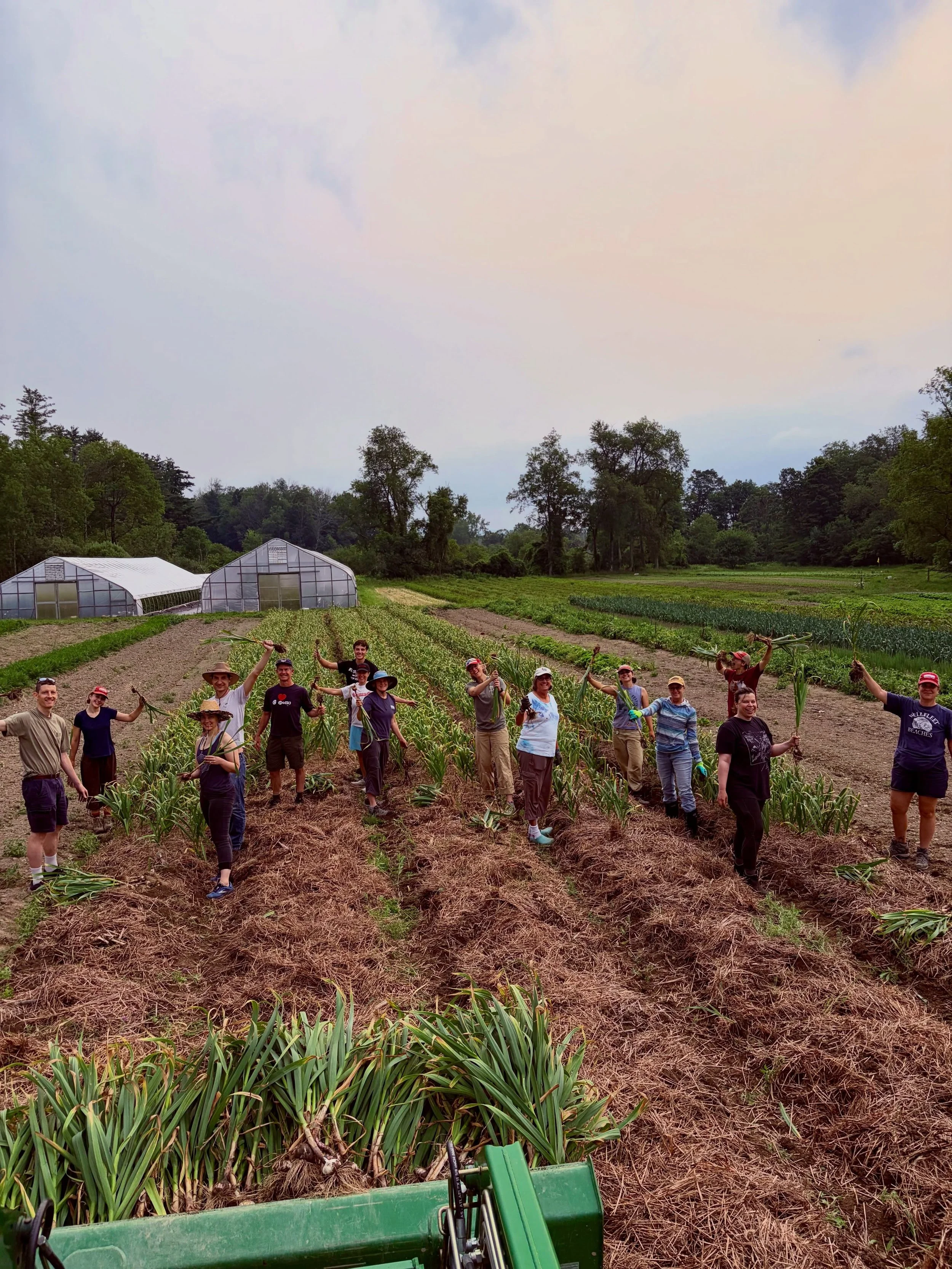 Thanks to all of our farm members who came out to help harvest and hang our garlic. They were so fast that we were also able to harvest some squash and onions. #caretakerfarm #garlicharvest #buildingcommunity