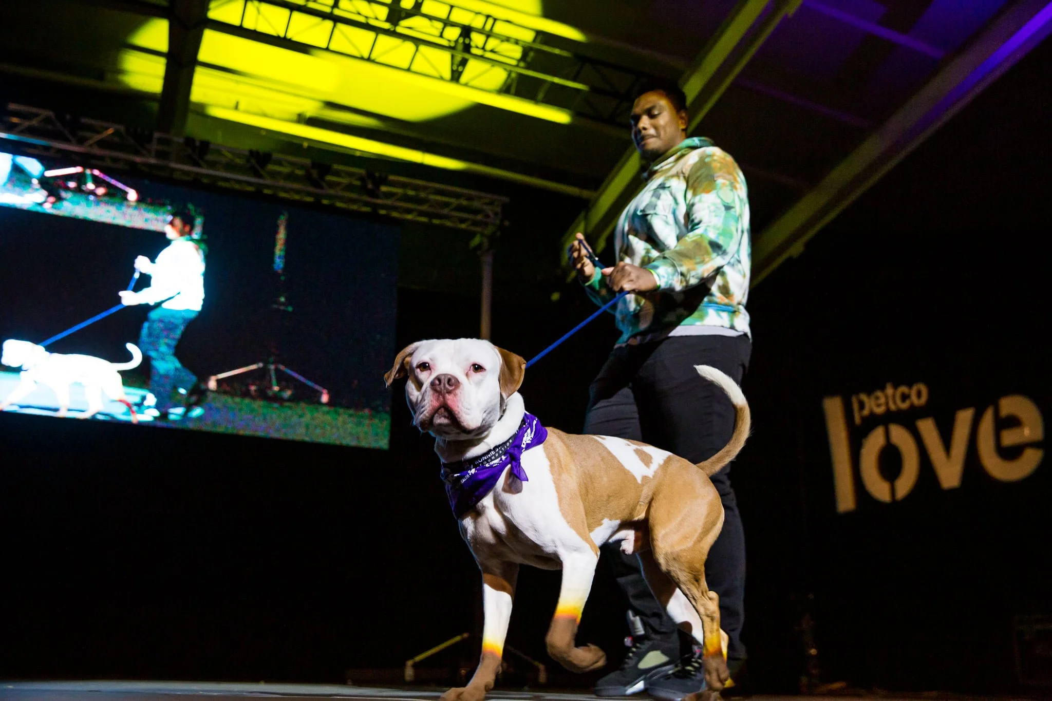 Pawject-Runway_Best-Photos-2022-11.jpeg