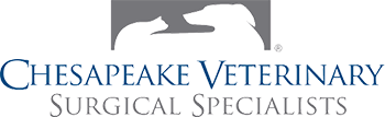 veterinarian-chesapeake-va (2).png