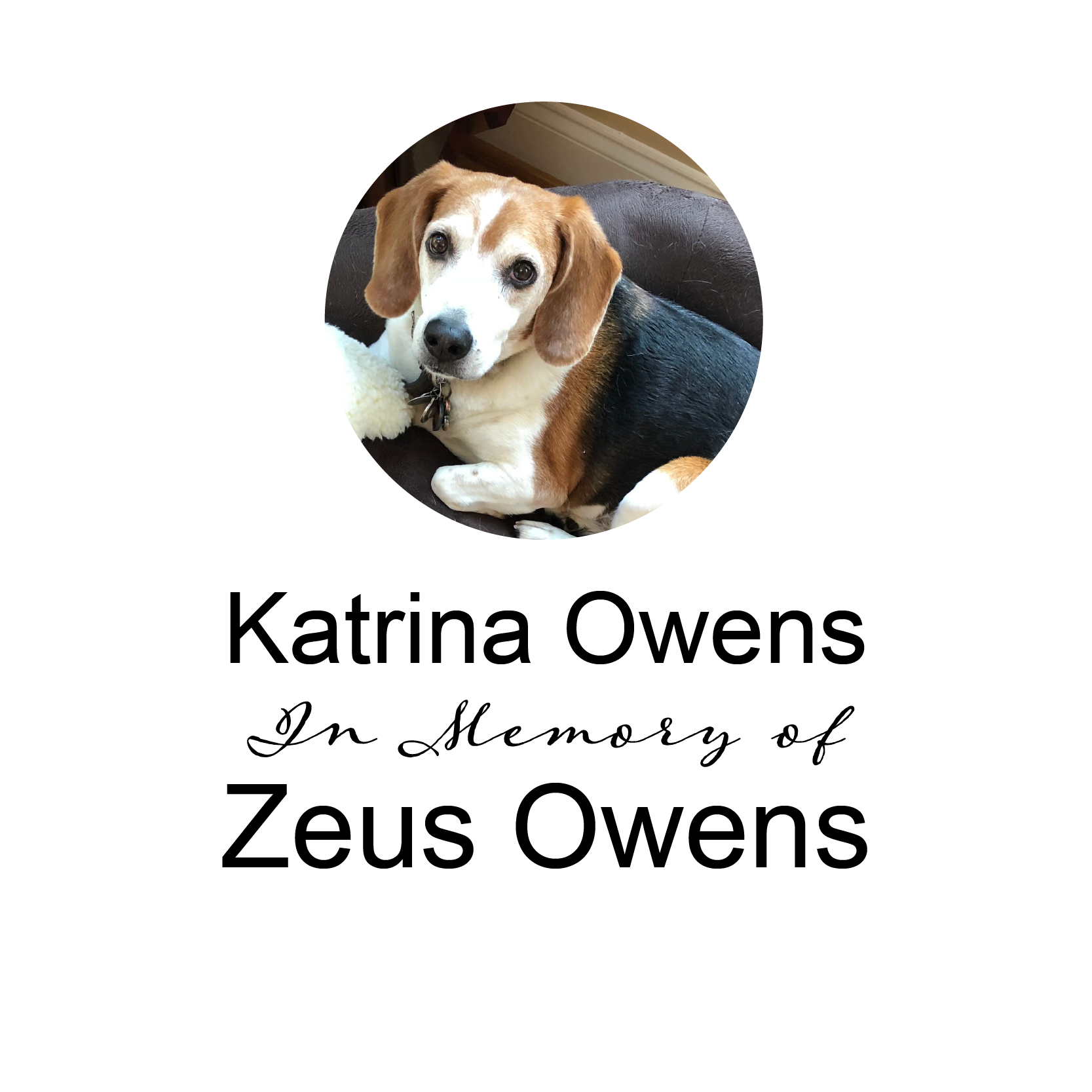 Katrina Owens PR logo 2024 white.png