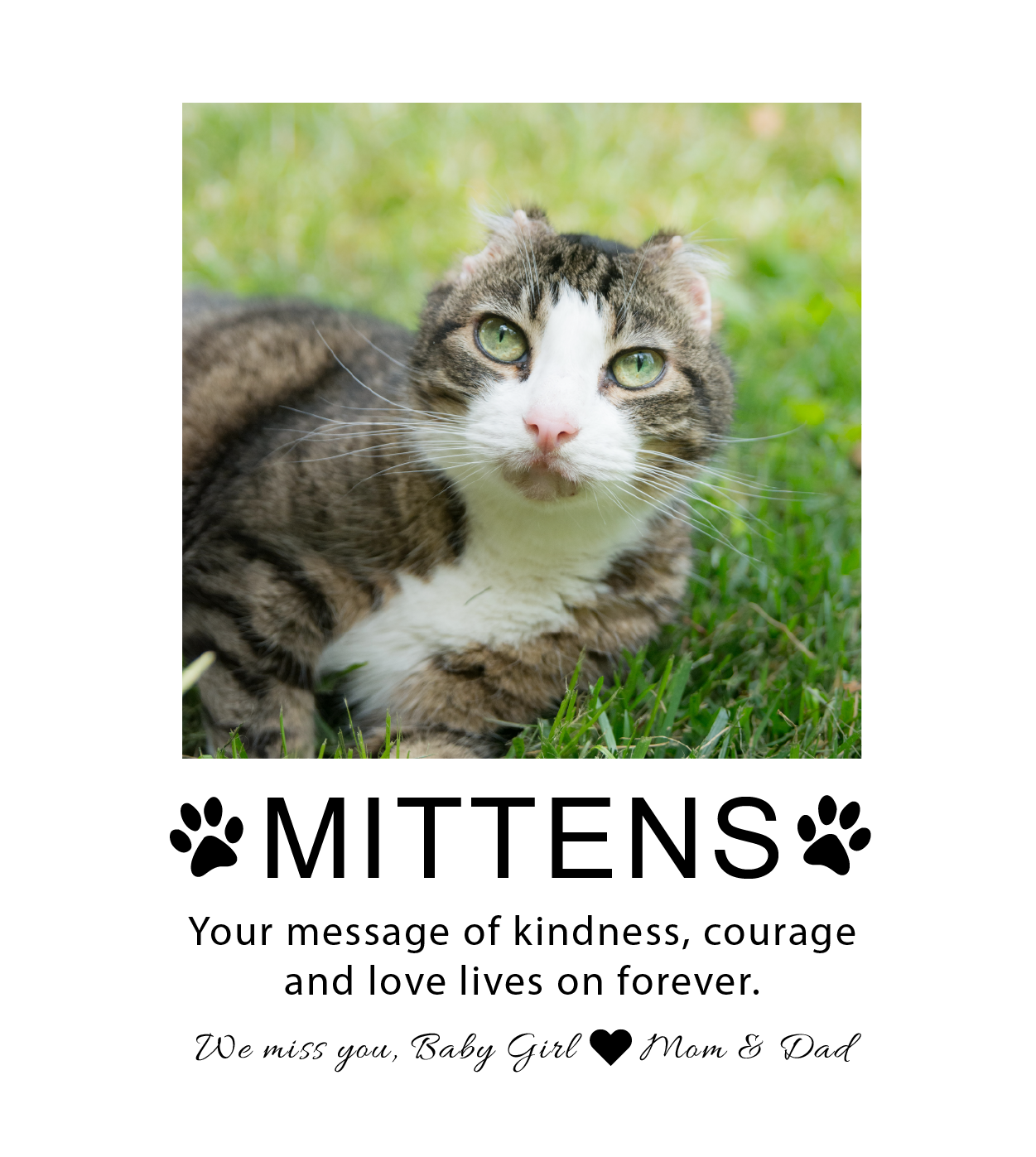 Mittens - Cindy Wright Logo PR 2024.png