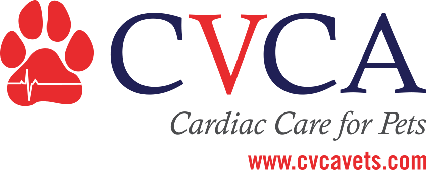 CVCA-logo-web.png