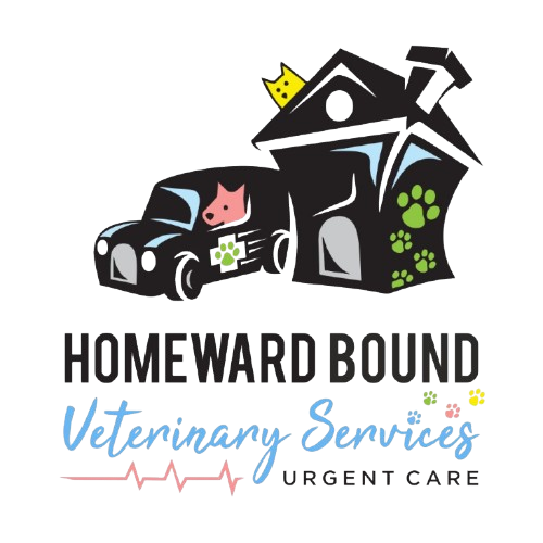 Homeward_Bound_Veterinary_Services_Urgent_Care__1_-removebg-preview.png