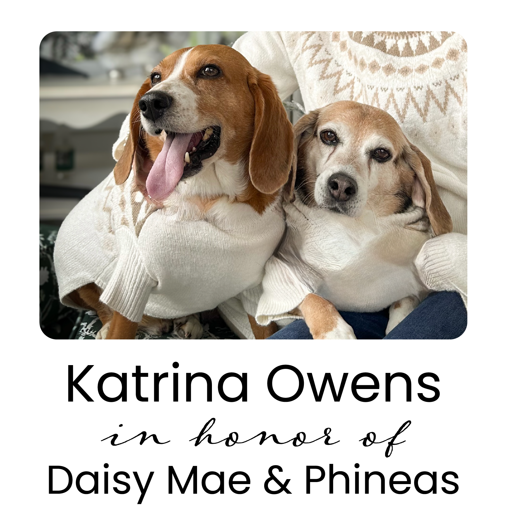 Katrina Owens - PR 2026 logo.png