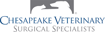 veterinarian-chesapeake-va.png