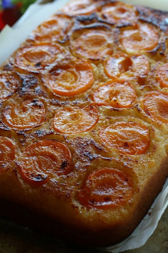 apricot cake.jpg