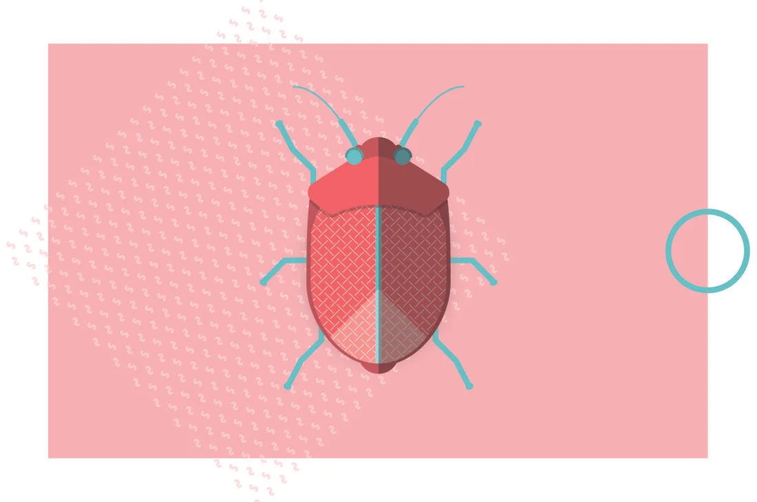 beetle-04_1100.jpg
