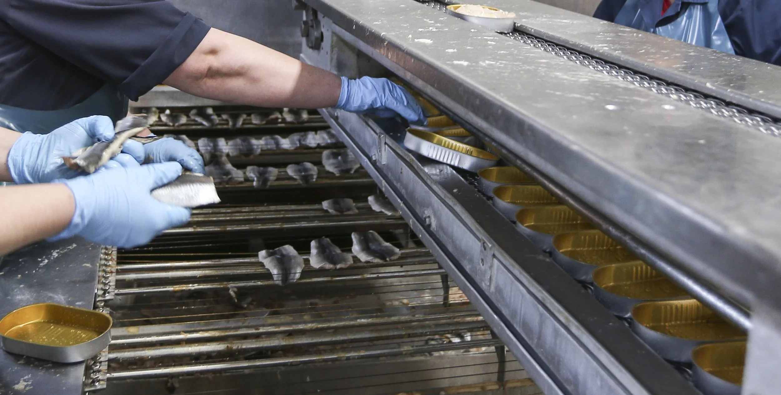 IMO cropped packing line (IMO 04).jpg