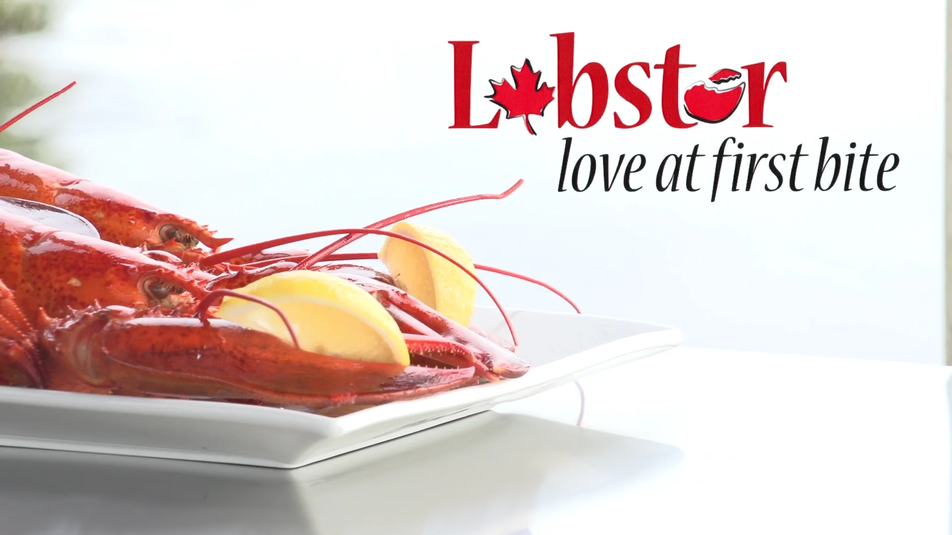 Tangier Lobster — Nova Scotia Seafood Alliance