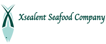 Xsealent new logo.png