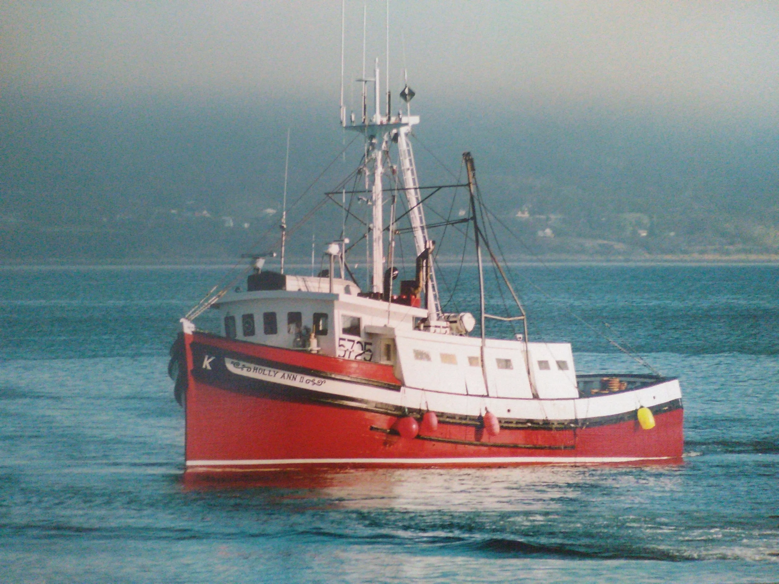 Holly Ann.jpg