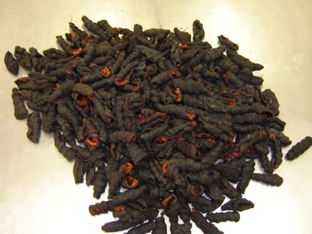 Dried Skins, August 2010[4762].JPG