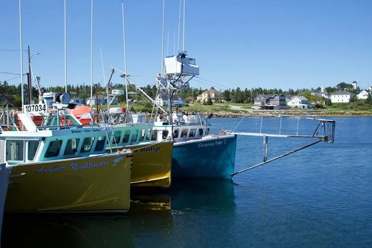 fisher direct 03 - Copy.jpg