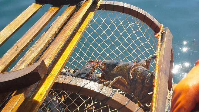 COMMENTARY: Alliance defends prices paid to lobster fishermen