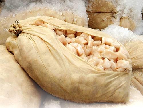 37161423_1706350672818127_4557292847488827392_n.jpg