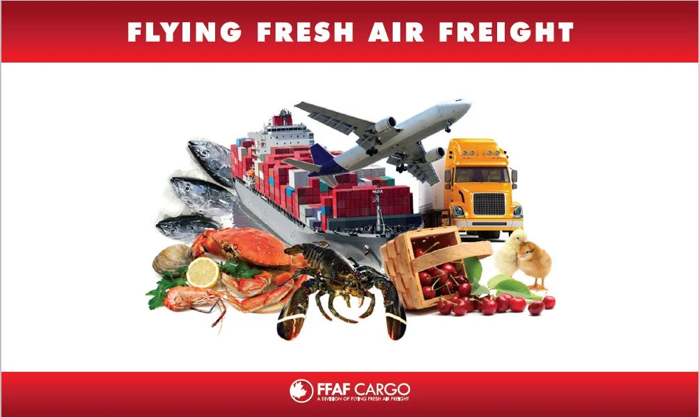 flyinf fresh banner 2.jpg