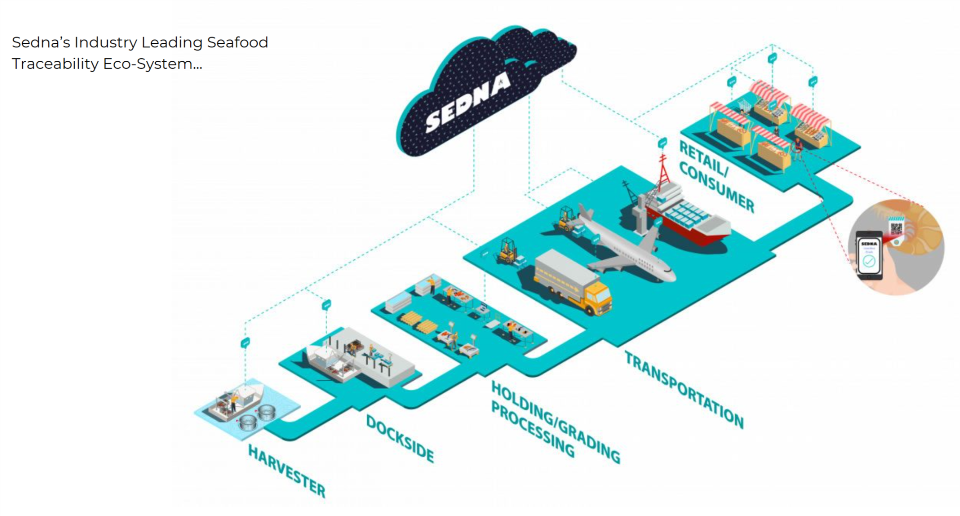 sedna main image.png
