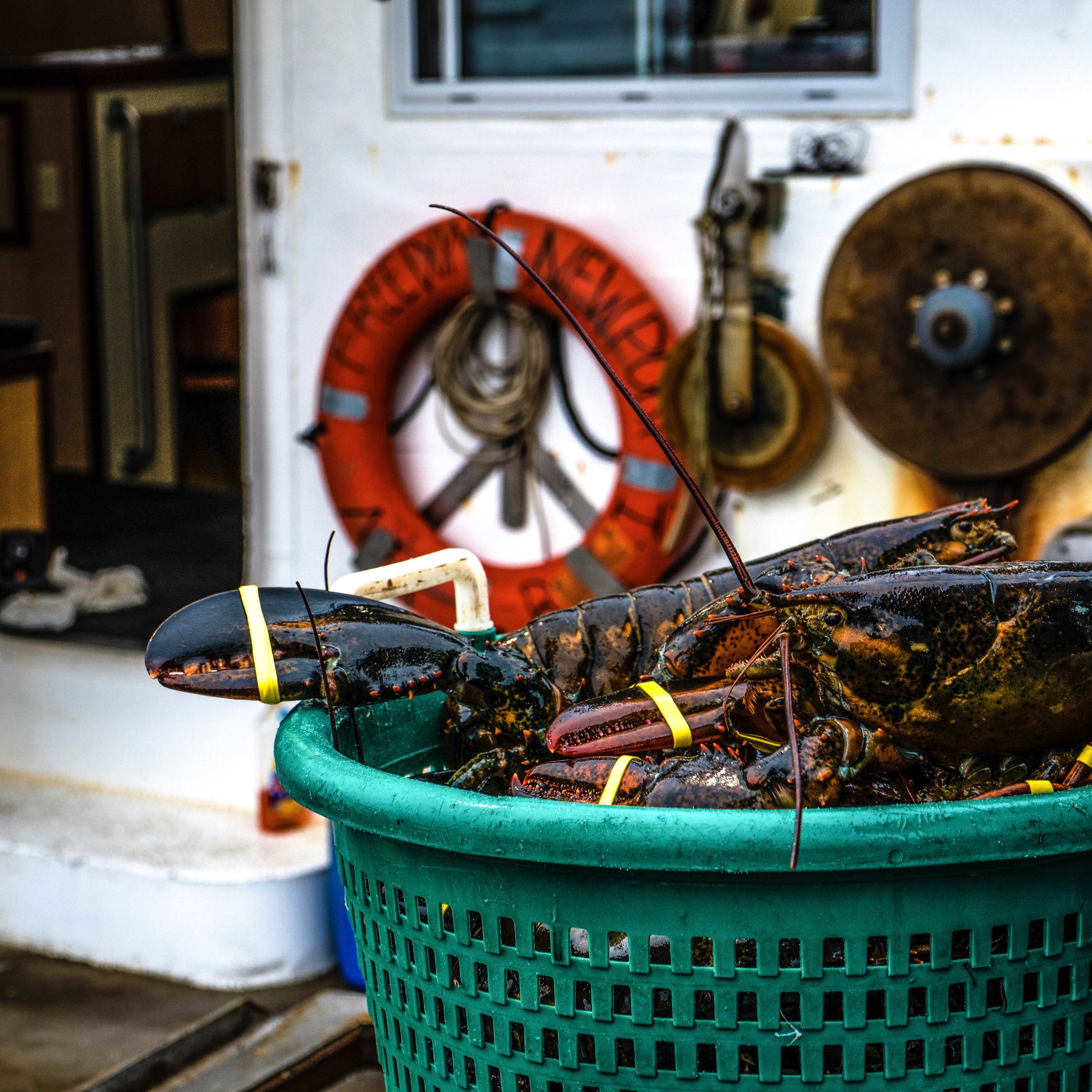 boston wholesale lobster lobser on boat.jpg