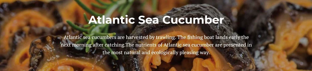 RIGHT SOURCE GROUP LTD — Nova Scotia Seafood Alliance