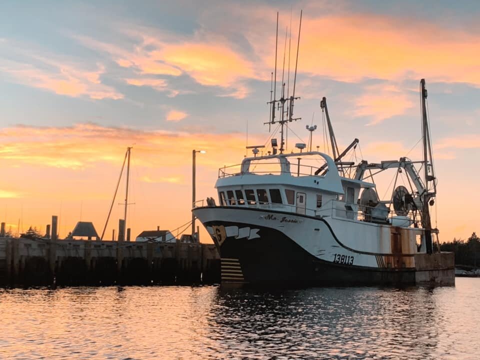 Tor Bay Fisheries 2.jpg