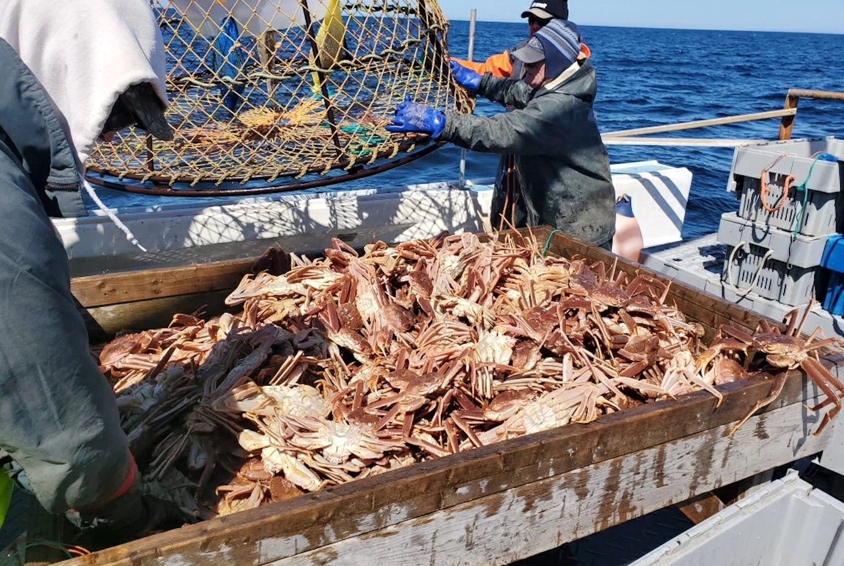 OSBORNE BURKE: Moderate livelihood debate must be tethered to facts