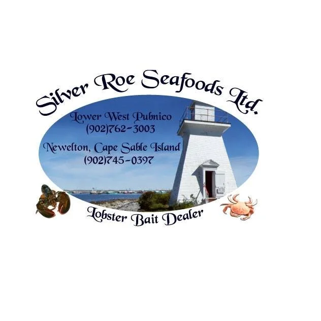 silver roe 1.jpg