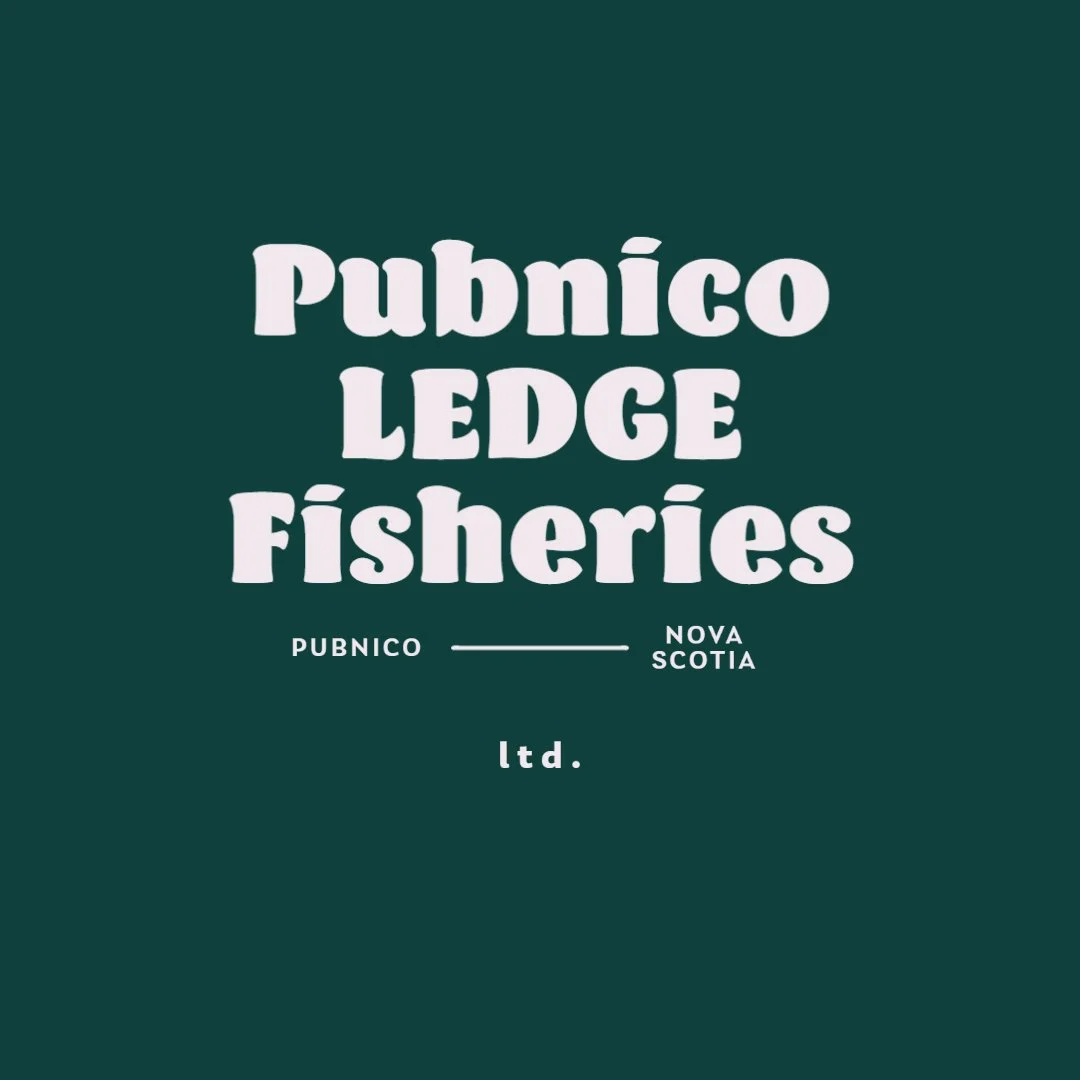 pubnico.jpg