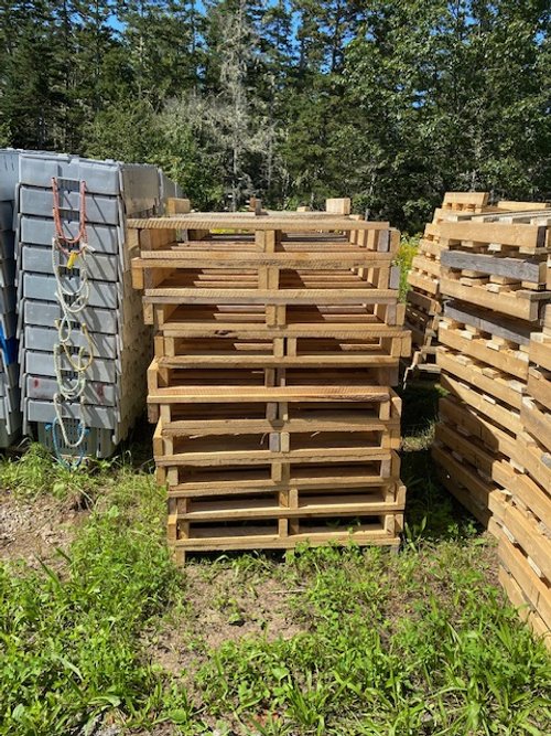 Crate pallets 2.jpg