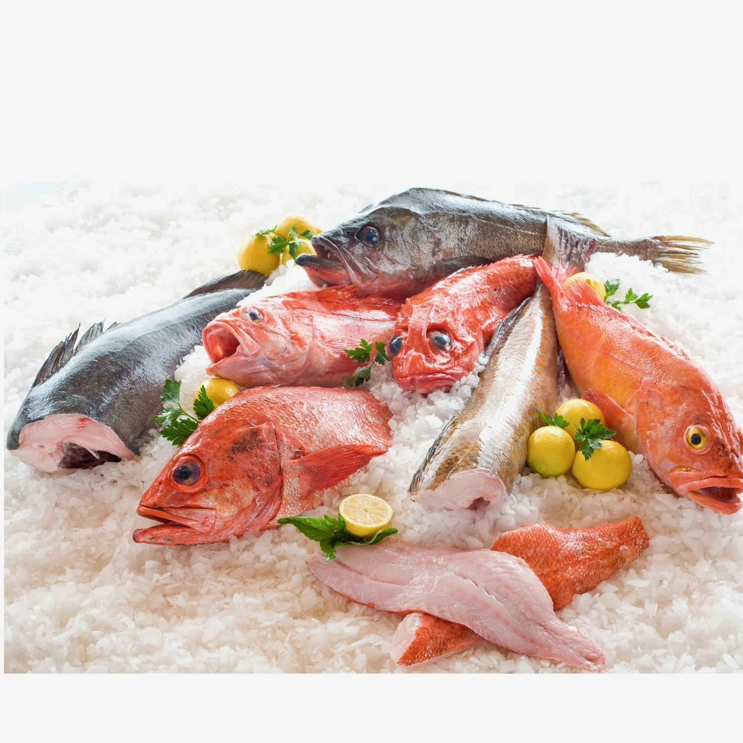 Nova Scotia Seafood Alliance