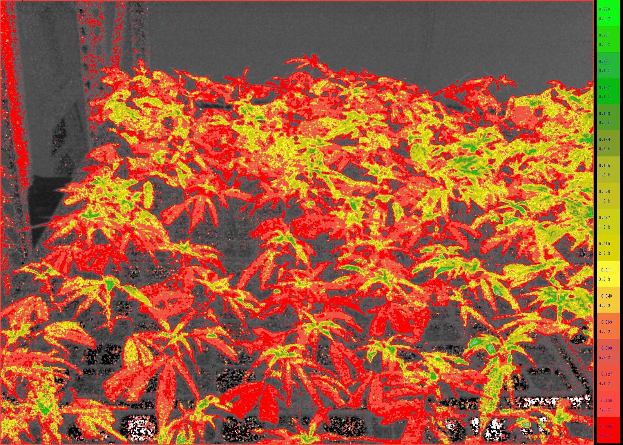 Clone Health: Red are unhealthy clones, Green healthy. They all look good to the naked eye.